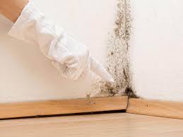 Mold Remediation for Rental Properties in Scottsville, KY